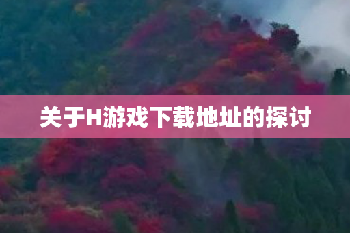 关于H游戏下载地址的探讨