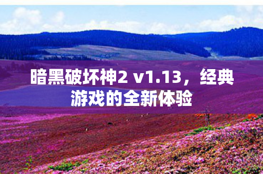 暗黑破坏神2 v1.13，经典游戏的全新体验