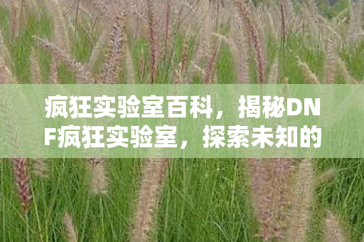 疯狂实验室百科，揭秘DNF疯狂实验室，探索未知的游戏奥秘