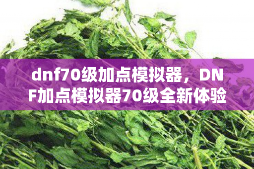 dnf70级加点模拟器，DNF加点模拟器70级全新体验，策略、技巧与无限可能性的探索