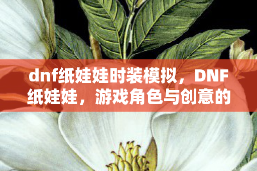 dnf纸娃娃时装模拟，DNF纸娃娃，游戏角色与创意的完美结合