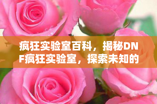 疯狂实验室百科，揭秘DNF疯狂实验室，探索未知的游戏奥秘