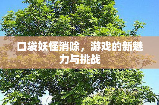 口袋妖怪消除，游戏的新魅力与挑战