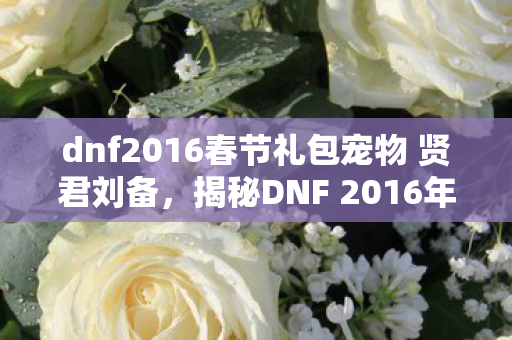 dnf2016春节礼包宠物 贤君刘备，揭秘DNF 2016年春节神秘礼包，玩家的福音与狂欢盛宴！