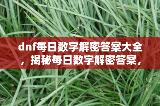 dnf每日数字解密答案大全，揭秘每日数字解密答案，深入解析DNF中的秘密数字游戏