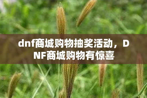 dnf商城购物抽奖活动，DNF商城购物有惊喜