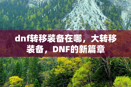 dnf转移装备在哪，大转移装备，DNF的新篇章
