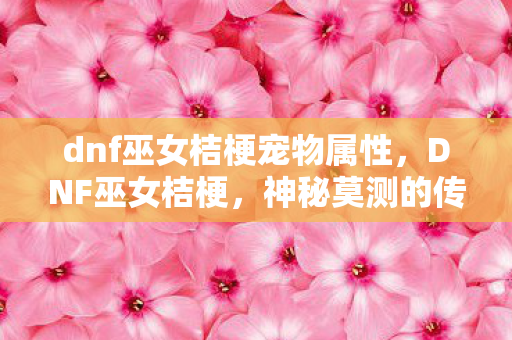 dnf巫女桔梗宠物属性，DNF巫女桔梗，神秘莫测的传奇人物