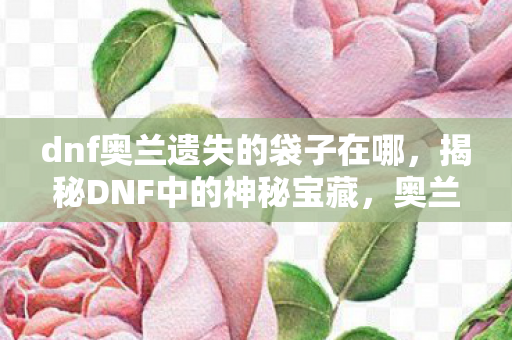 dnf奥兰遗失的袋子在哪，揭秘DNF中的神秘宝藏，奥兰遗失的袋子