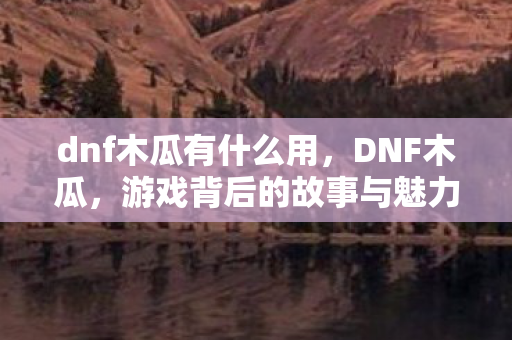 dnf木瓜有什么用，DNF木瓜，游戏背后的故事与魅力