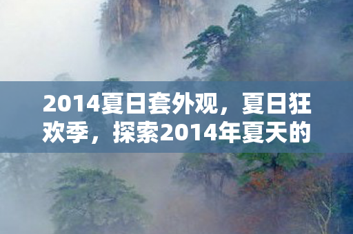2014夏日套外观，夏日狂欢季，探索2014年夏天的独特魅力与故事
