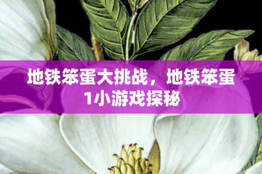 地铁笨蛋大挑战，地铁笨蛋1小游戏探秘