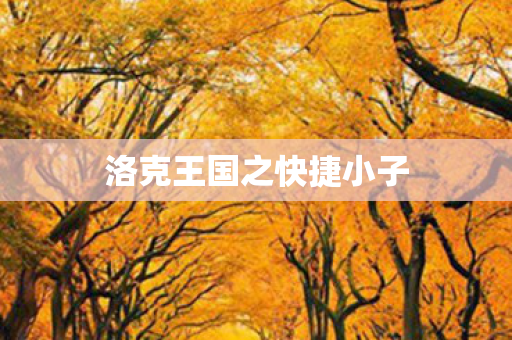 洛克王国之快捷小子