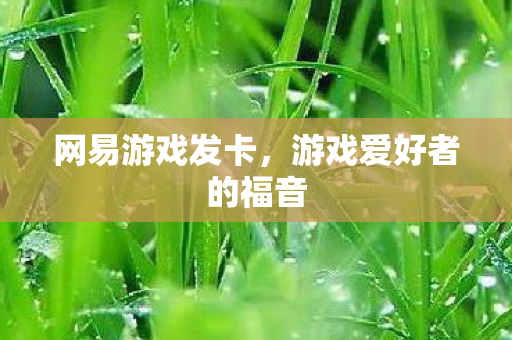 网易游戏发卡，游戏爱好者的福音