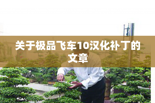 关于极品飞车10汉化补丁的文章