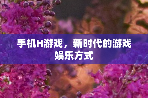 手机H游戏，新时代的游戏娱乐方式