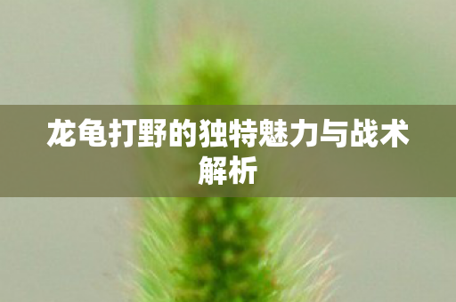 龙龟打野的独特魅力与战术解析