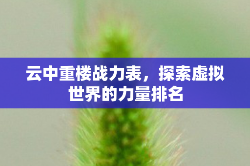 云中重楼战力表，探索虚拟世界的力量排名