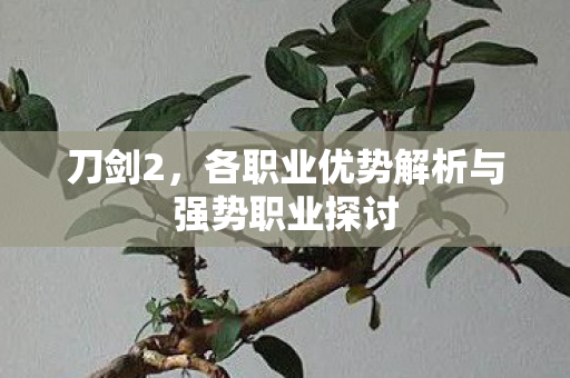 刀剑2，各职业优势解析与强势职业探讨