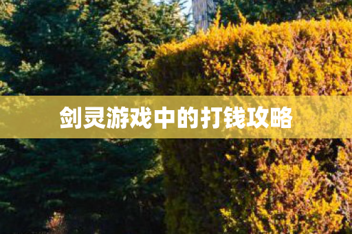 剑灵游戏中的打钱攻略