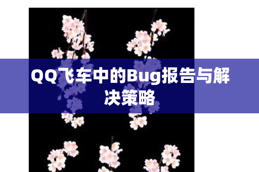 QQ飞车中的Bug报告与解决策略