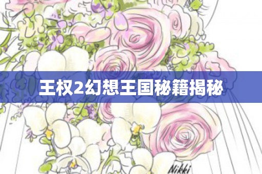 王权2幻想王国秘籍揭秘