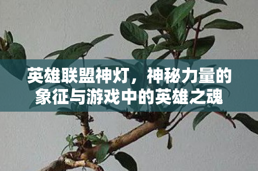 英雄联盟神灯，神秘力量的象征与游戏中的英雄之魂