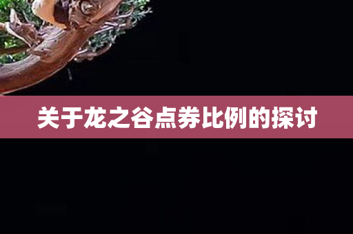 关于龙之谷点券比例的探讨