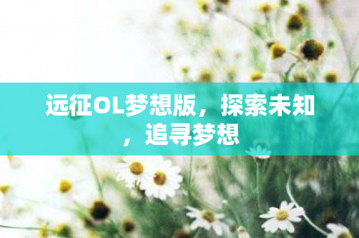 远征OL梦想版，探索未知，追寻梦想