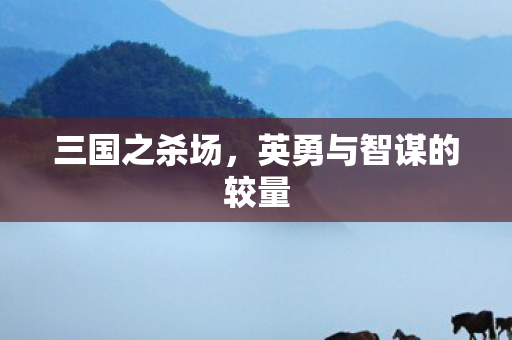 三国之杀场，英勇与智谋的较量