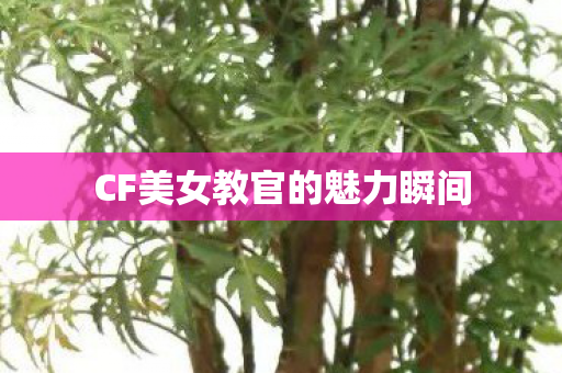 CF美女教官的魅力瞬间