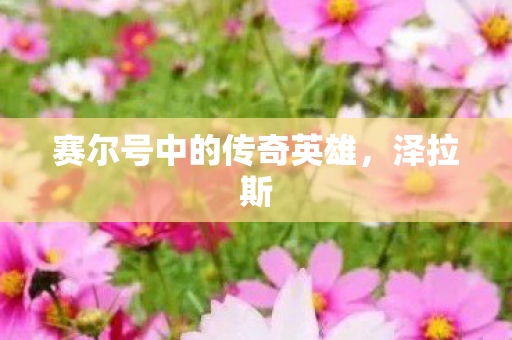 赛尔号中的传奇英雄，泽拉斯