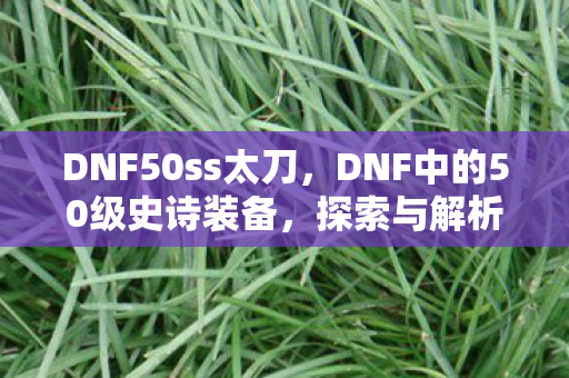 DNF50ss太刀，DNF中的50级史诗装备，探索与解析