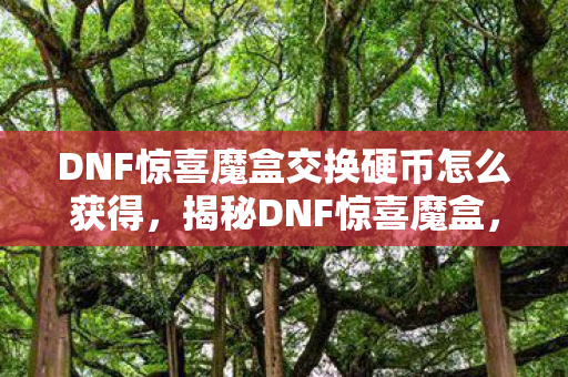 DNF惊喜魔盒交换硬币怎么获得，揭秘DNF惊喜魔盒，内含宝藏，玩家必备！