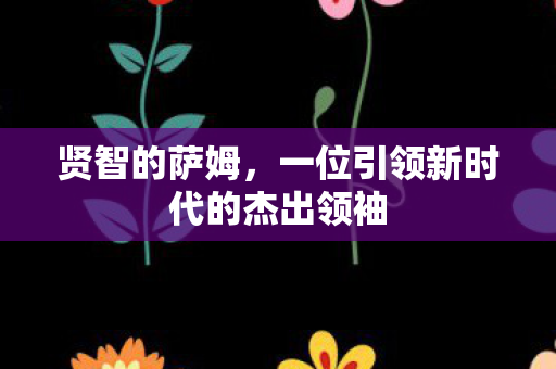 贤智的萨姆，一位引领新时代的杰出领袖