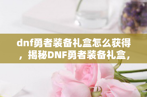 dnf勇者装备礼盒怎么获得，揭秘DNF勇者装备礼盒，游戏内的宝藏，玩家的福音！
