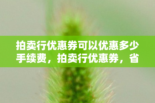 拍卖行优惠券可以优惠多少手续费，拍卖行优惠券，省钱达人的秘密武器