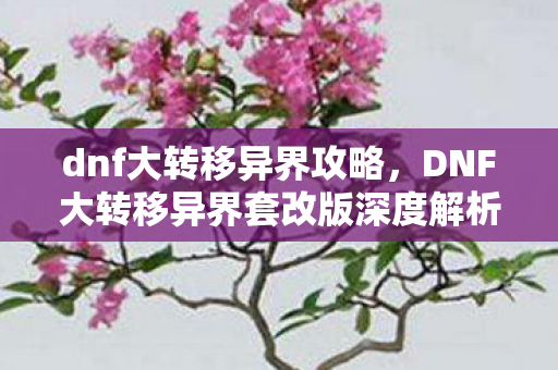 dnf大转移异界攻略，DNF大转移异界套改版深度解析