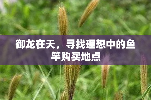 御龙在天，寻找理想中的鱼竿购买地点