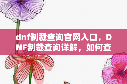 dnf制裁查询官网入口，DNF制裁查询详解，如何查询制裁状态与应对策略