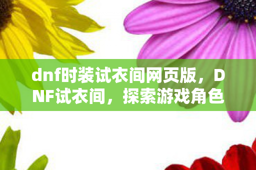 dnf时装试衣间网页版，DNF试衣间，探索游戏角色的时尚新潮流