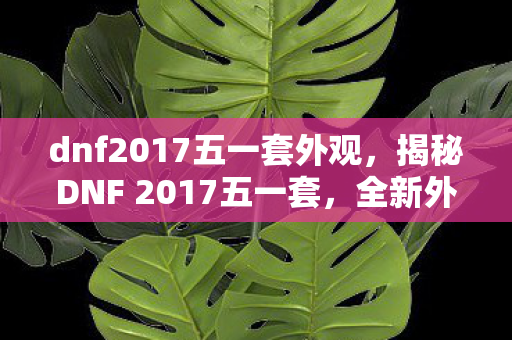 dnf2017五一套外观，揭秘DNF 2017五一套，全新外观与独特属性引领游戏新风尚