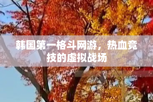 韩国第一格斗网游，热血竞技的虚拟战场