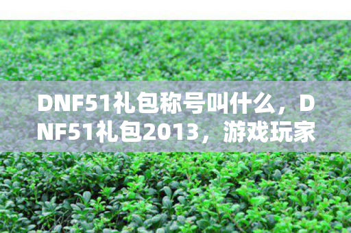DNF51礼包称号叫什么，DNF51礼包2013，游戏玩家的福音