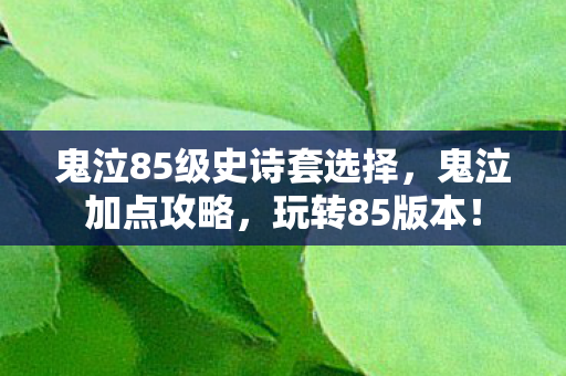 鬼泣85级史诗套选择，鬼泣加点攻略，玩转85版本！