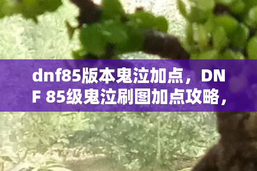 dnf85版本鬼泣加点，DNF 85级鬼泣刷图加点攻略，掌握核心技能，轻松碾压副本！