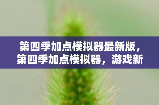 第四季加点模拟器最新版，第四季加点模拟器，游戏新篇章，策略升级的乐趣
