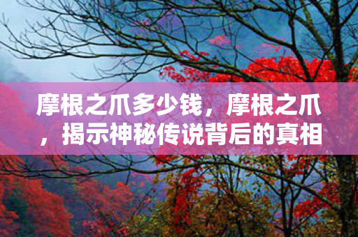 摩根之爪多少钱，摩根之爪，揭示神秘传说背后的真相