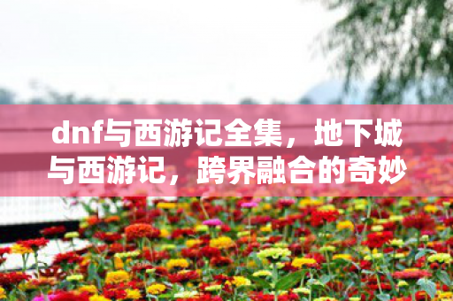 dnf与西游记全集，地下城与西游记，跨界融合的奇妙世界