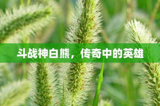 斗战神白熊，传奇中的英雄